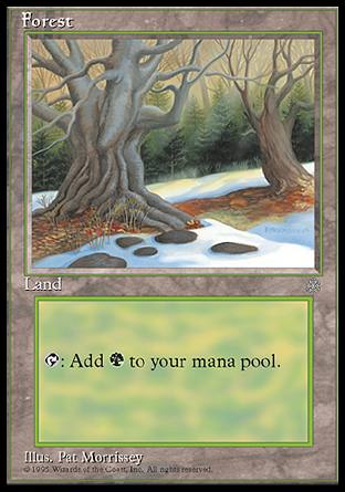 Forest3