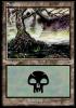 Swamp1