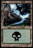 Swamp4